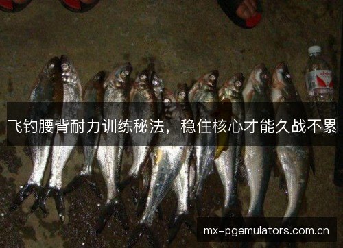 飞钓腰背耐力训练秘法，稳住核心才能久战不累