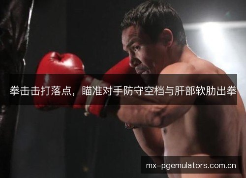 拳击击打落点，瞄准对手防守空档与肝部软肋出拳